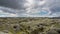 Moss-covered lava fields