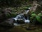 Moss covered natural waterslide rockpools Cleopatras Pool at Torrent river Bay in Abel Tasman National Park New Zealand