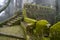 Moss covered old steps and stairs of the Moorish Castle Castle of Moors on a foggy, misty day in Sintra Portugal