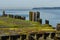 Moss covered pilings on a dock