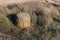 Moss covered rock among dry hay field with a clear cut path warm color bulgaria rural landscape sun day clear blue sky