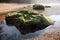 Moss covered rock reflected in pool