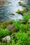 Moss Covered Rocks Along Rushing Stream