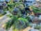 Moss-covered rocks on a beach in Lahaina, Hawaii.