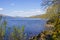 Moss covered rocks and flowering Gorse on the shore of Loch Lomond