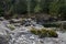 Moss covered rocks on the river in the forest