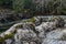 Moss covered rocks on the river in the forest