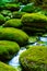 Moss covered rocks with water passing through them generated by ai