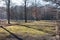 Moss covered square at city park in winter day