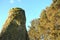 Moss Covered Standing Stone