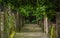 A moss covered stone stairway leads up to a lush garden with Green overhanging tropical plants