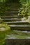 Moss Covered Stone Steps