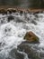 Moss Covered Stone with Surrounding Whitewater