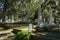 The moss covered trees make for an idyllic setting for a cemetery