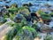 Moss-covered volcanic rocks cover a beach in Lahaina, Hawaii.