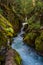 Moss Covers the Rocks of Avalanche Creek