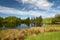 Moss Eccles Tarn on Claife Heights, Lake District