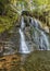 Moss Glen Falls Leaf Swirl