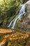 Moss Glen Falls Leaf Vortex