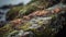 moss growing on a stone wall near the water and rocks in the background, with a small group of tiny plants growing on the edge of