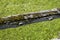 Moss grows on the wooden log of a fence. Blurred green grass background