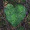 Moss heart