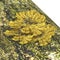 Moss lichen yellow