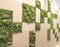 Moss pattern wall