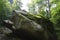 Moss on the rock. Stolby national park in Krasnoyarsk.