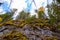 Moss on the rock. Stolby national park in Ural. Forest and a large stone with moss. Ural nature landscape. Olenji ruchji