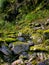 Moss Rocks