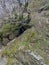 Moss on the rocks in the vicinity of Borjomi Park