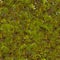 Moss Seamless Texture.