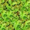 Moss seamless texture background.