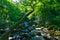 Moss Shaugh Bridge Devon