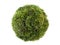 Moss sphere