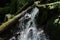 moss, water, brook, leaves, stones, nature, waterfall, landscape, mystery, tree, trunk, broken, bracken.