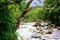 Mossman Gorge National Park