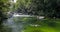 Mossman Gorge - river in Daintree National Park, Australia