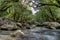 Mossman river gorge