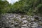 Mossman River and Lookout in rural rainforest at Mossman Gorge National Park Daintree Region Queensland Australia.