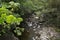 Mossman River and Lookout in rural rainforest at Mossman Gorge National Park Daintree Region Queensland Australia.