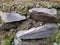 Mossy ancient stone wall texture