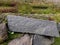 Mossy ancient stone wall texture