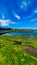 Mossy beach under blue sky