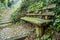 Mossy bench and footpath.