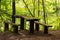 Mossy bench in a wood