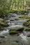 Mossy Boulders Jut Up From West Prong