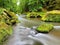 Mossy boulders in water under fresh green trees at mountain river