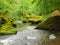 Mossy boulders in water under fresh green trees at mountain river